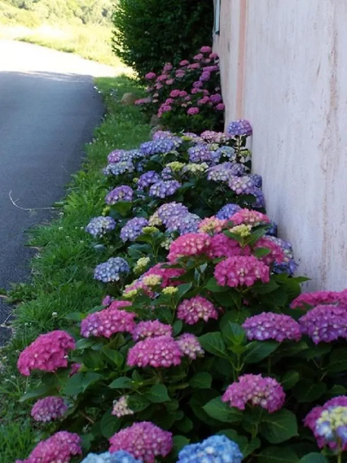 La Ferme De La Source Bed & Breakfast Bully  France